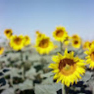 Meet your Posher, Tony